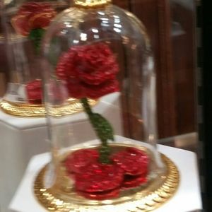 Meet your Posher, Kristina